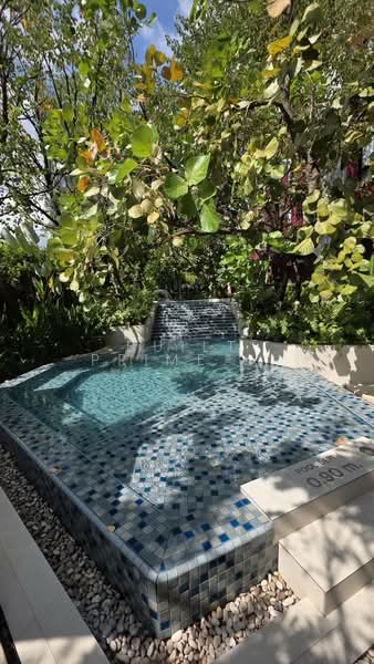 The Base Bukit Phuket, Phuket, 12 Vichitsongkram Rd, Wichit, Muang Phuket, Phuket, 1 Bedroom, 28 sqm, Condo For Rent, by Built Prime global, 500238681 - DDproperty.com