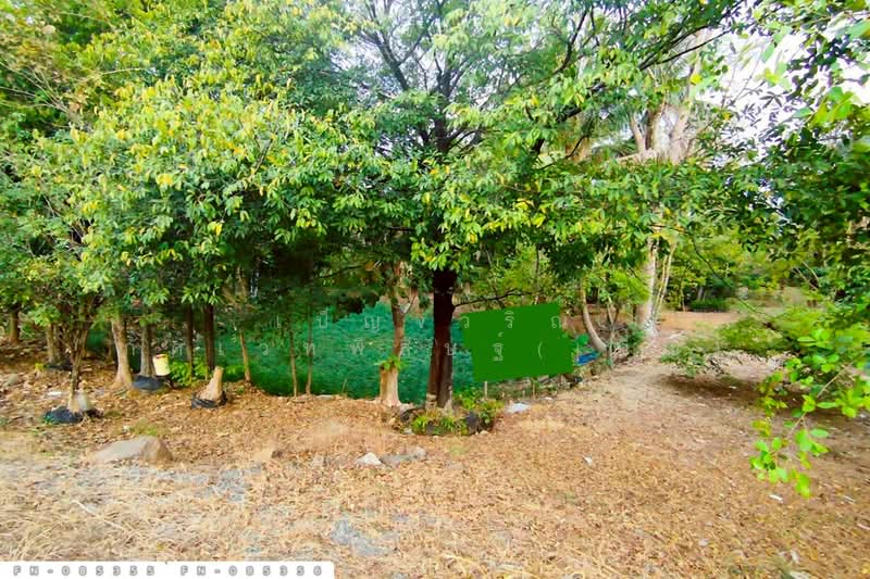 ขาย - ที่ดินเขาเพิ่ม 3 ไร่ 156.1 ตร.ว. นครนายก ใกล้ปิ่นโตคาเฟ่ FN-085355, นครนายก
