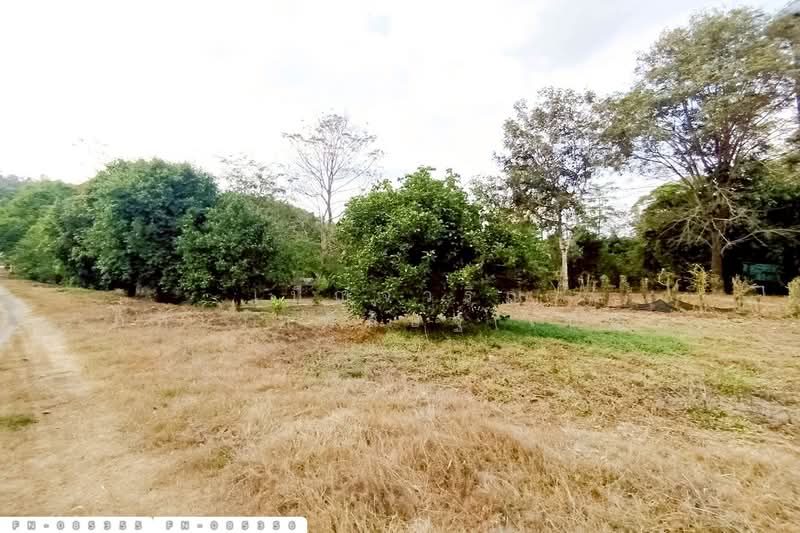 ขาย - ที่ดินเขาเพิ่ม 3 ไร่ 156.1 ตร.ว. นครนายก ใกล้ปิ่นโตคาเฟ่ FN-085355, นครนายก