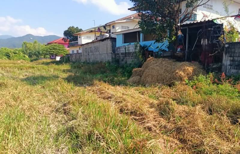 บ้านเดี่ยวพร้อมที่ดินเทิง เชียงราย, Chiang Rai, Wiang, Thoeng, Chiang Rai, 2 Bedrooms, 100 sqm, Single Detached House For Sale, by The Best Property ไนล์, 500238745 - DDproperty.com