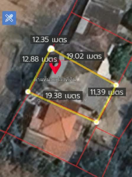 บ้านเดี่ยวพร้อมที่ดินเทิง เชียงราย, เชียงราย, เวียง, เทิง, เชียงราย, 100 ตร.ม., บ้านเดี่ยว ขาย, โดย The Best Property ไนล์, 500238745 - DDproperty.com