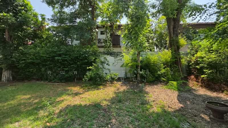 Setsiri Prachachuen Resident 1 : เศรษฐสิริ ประชาชื่น เรสซิเด้นซ์ 1, นนทบุรี, ซอย เพชรรัตน์, บางเขน, เมืองนนทบุรี, นนทบุรี, 310 ตร.ม., บ้านเดี่ยว ขาย, โดย คุณพลอยวาลินน์ (วาลินน์), 500238867 - DDproperty.com