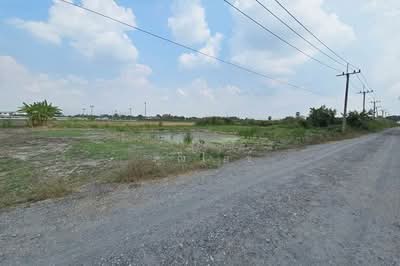 ขาย - ถนนร่วมพัฒนา ลำต้อยติ่ง หนองจอก, กรุงเทพ