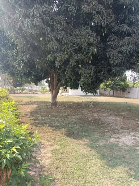 undefined, Prachuap Khiri Khan, Hin Lek Fai, Hua Hin, Prachuap Khiri Khan, 2 Bedrooms, 140 sqm, Single Detached House For Sale, by Achitaphop Klinpipat, 500239051 - DDproperty.com