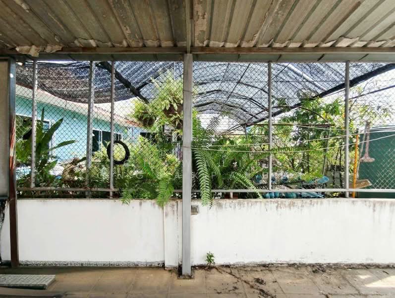 For Sale: 4-story commercial building, 1 unit, Rangsit-Pathum Thani Soi 8., Pathum Thani, ซอยรังสิต-ปทุมธานี, Prachathipat, Thanyaburi, Pathum Thani, , 320 sqm, Shophouse For Sale, by CHAWALIT KONGSAKPAIBUL, 500239114 - DDproperty.com