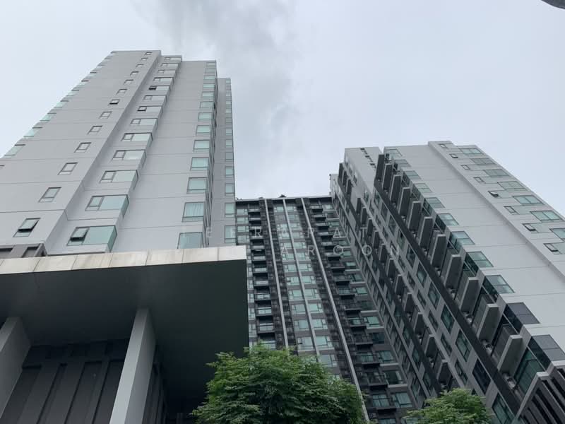 Rhythm Sukhumvit 36-38, Bangkok, 55 Soi Sukhumvit 36, Sukhumvit Road, Phra Kanong, Khlong Toei, Bangkok, 1 Bedroom, 33 sqm, Condo For Rent, by Teerapat Utha-aroon, 500239223 - DDproperty.com