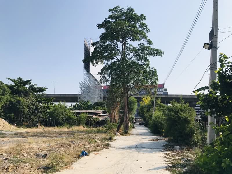 ตลิ่งชัน, Bangkok, สวนผัก, Taling Chan, Taling Chan, Bangkok, , 2,188 sqm, Land For Sale, by ภวดล, 500239268 - DDproperty.com