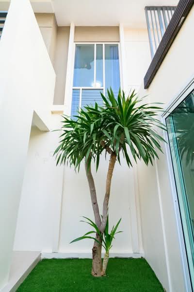 Baan Pruksa Nara Chaiyapruk 2-Jomtien, Chon Buri (Pattaya), Huai Yai, Bang Lamung (Pattaya), Chon Buri (Pattaya), 2 Bedrooms, 200 sqm, Single Detached House For Sale, by Achitaphop Klinpipat, 500239345 - DDproperty.com