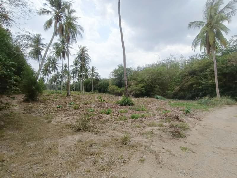 ที่ดินศรีราชา ชลบุรี, Chon Buri (Pattaya), Khao Khan Song, Si Racha, Chon Buri (Pattaya), , 13,444 sqm, Land For Sale, by The Best Property Agent แบงค์, 500239420 - DDproperty.com