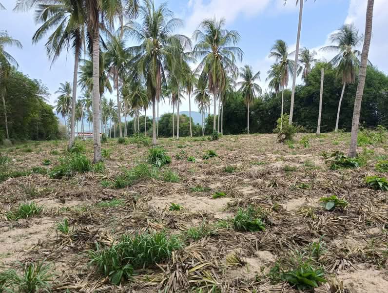 ที่ดินศรีราชา ชลบุรี, Chon Buri (Pattaya), Khao Khan Song, Si Racha, Chon Buri (Pattaya), , 13,444 sqm, Land For Sale, by The Best Property Agent แบงค์, 500239420 - DDproperty.com