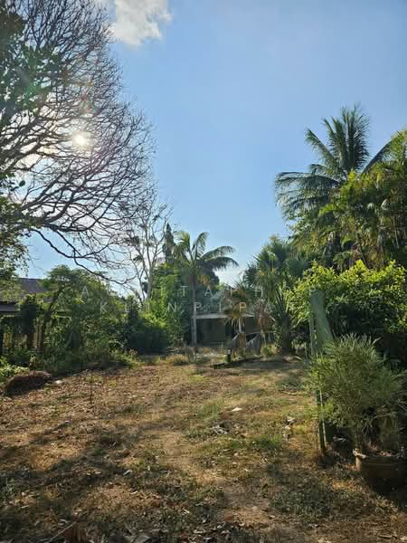 4-BR House, Surat Thani, Talat, Muang Surat Thani, Surat Thani, 4 Bedrooms, 382 sqm, Single Detached House For Sale, by Achitaphop Klinpipat, 500239434 - DDproperty.com