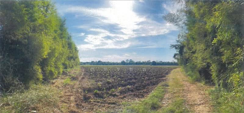 For Sale - ที่ดินเปล่า, Buri Ram