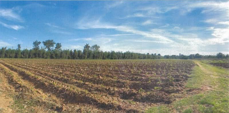 For Sale - ที่ดินเปล่า, Buri Ram