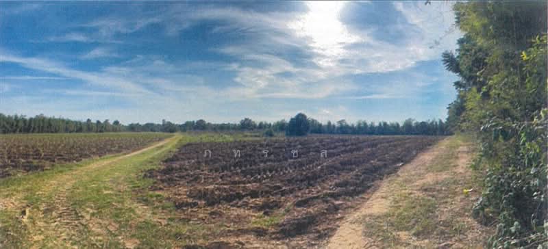 For Sale - ที่ดินเปล่า, Buri Ram