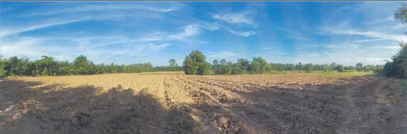 ขาย - ที่ดินเปล่า, บุรีรัมย์