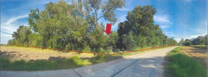 ขาย - ที่ดินเปล่า, บุรีรัมย์