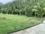 บ้าน สตูดิโอ, สุราษฎร์ธานี