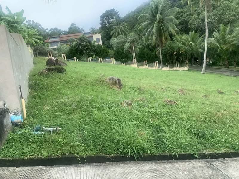 ขาย - บ้าน สตูดิโอ, สุราษฎร์ธานี