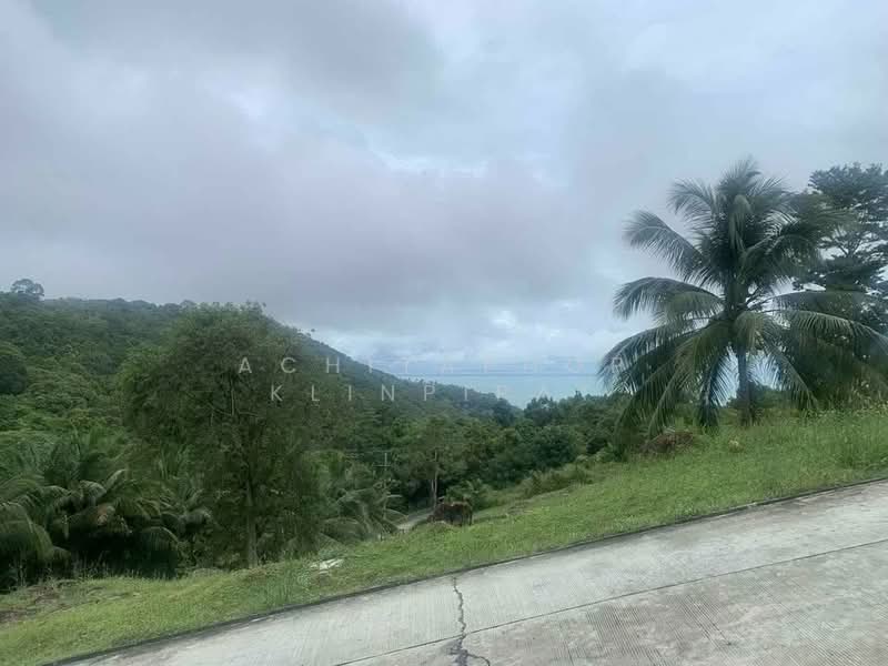 ขาย - บ้าน สตูดิโอ, สุราษฎร์ธานี