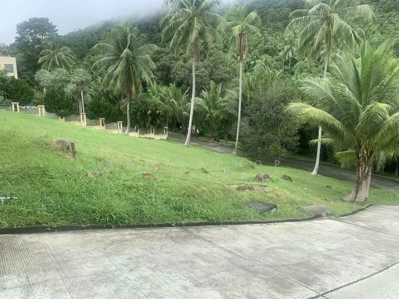 ขาย - บ้าน สตูดิโอ, สุราษฎร์ธานี