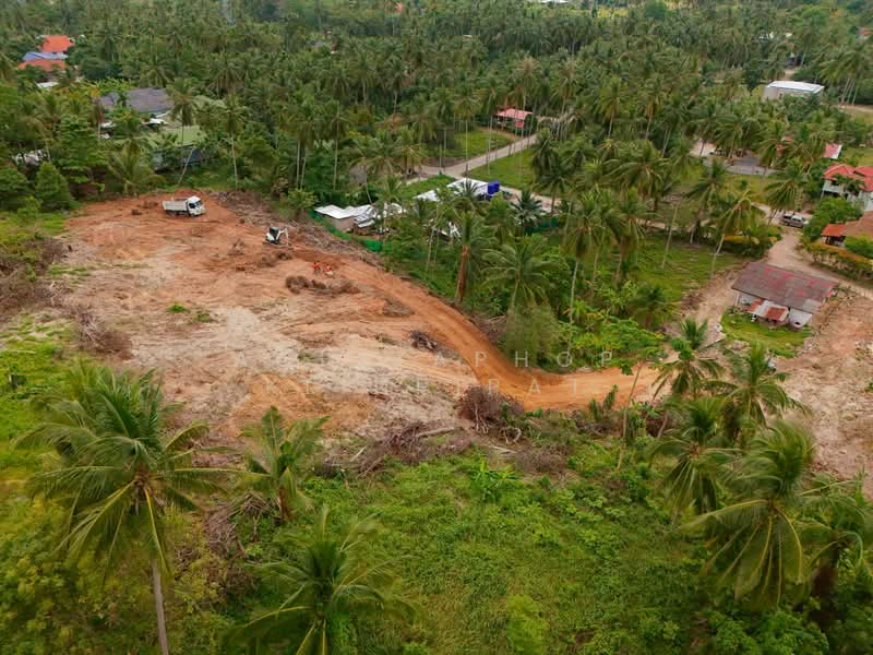 2-BR Villa, Surat Thani, Mae Nam, Ko Samui, Surat Thani, 2 Bedrooms, 160 sqm, Villa For Sale, by Achitaphop Klinpipat, 500239495 - DDproperty.com