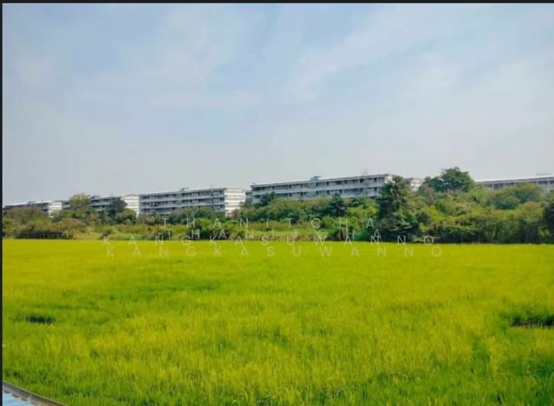 Mind Hof Romklao-Suvarnabhumi : มายด์ ฮอฟฟ์ ร่มเกล้า-สุวรรณภูมิ, กรุงเทพ, ถนน ร่มเกล้า, คลองสามประเวศ, ลาดกระบัง, กรุงเทพ, 195 ตร.ม., ทาวน์เฮ้าส์ ขาย, โดย Thanitcha Kangkasuwanno, 500239498 - DDproperty.com