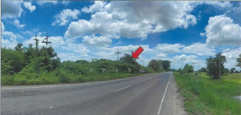 ที่ดินเพื่อการเกษตร, Buri Ram, Hin Khon, Lam Plai Mat, Buri Ram, , 143,868 sqm, Land For Sale, by ภทรชล, 500239661 - DDproperty.com