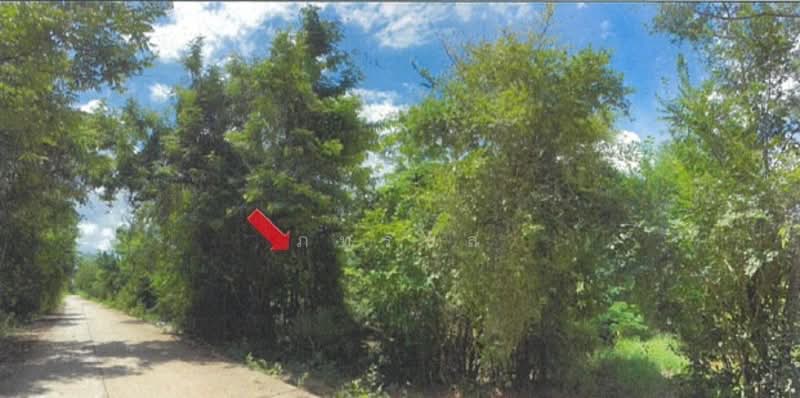 ที่ดินเพื่อการเกษตร, Buri Ram, Hin Khon, Lam Plai Mat, Buri Ram, , 143,868 sqm, Land For Sale, by ภทรชล, 500239661 - DDproperty.com