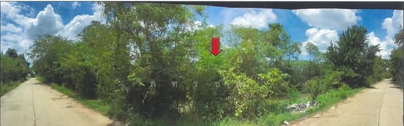 ที่ดินเพื่อการเกษตร, Buri Ram, Hin Khon, Lam Plai Mat, Buri Ram, , 143,868 sqm, Land For Sale, by ภทรชล, 500239661 - DDproperty.com