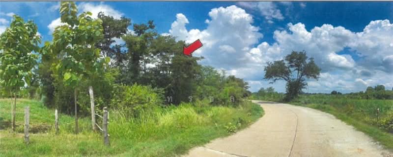 ที่ดินเพื่อการเกษตร, Buri Ram, Hin Khon, Lam Plai Mat, Buri Ram, , 143,868 sqm, Land For Sale, by ภทรชล, 500239661 - DDproperty.com