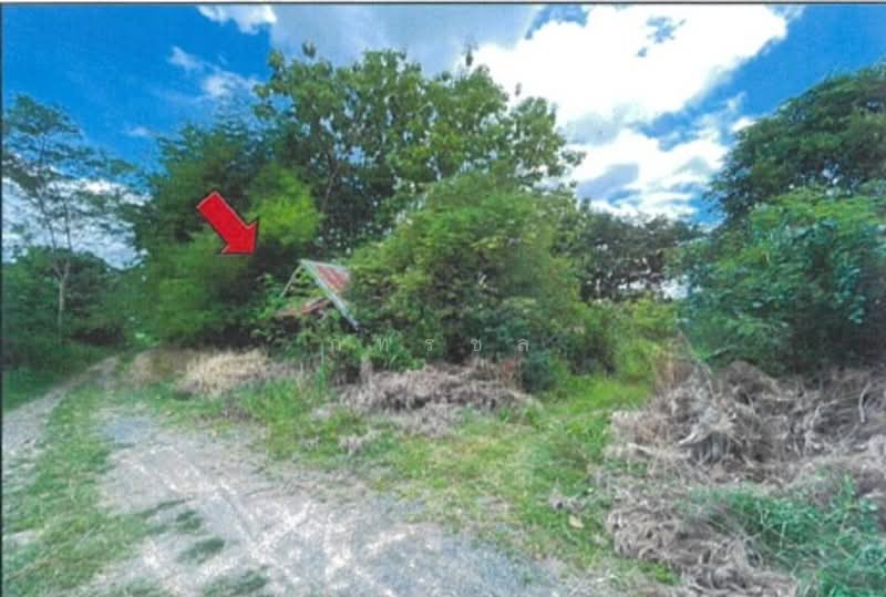 ที่ดินเพื่อการเกษตร, Buri Ram, Hin Khon, Lam Plai Mat, Buri Ram, , 143,868 sqm, Land For Sale, by ภทรชล, 500239661 - DDproperty.com