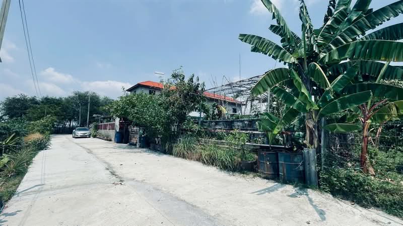 บ้านเดี่ยว 3 ชั้น+ที่ดิน 200 ตร.ว. บ้านเดี่ยว ซอยรามอินทรา47 แยก10 ถนนรามอินทรา, กรุงเทพ, ถนนรามอินทรา, ท่าแร้ง, บางเขน, กรุงเทพ, 300 ตร.ม., บ้านเดี่ยว ขาย, โดย คุณ พัชรนันท์ พรมพิทักษ์ (นัจข์), 500239676 - DDproperty.com