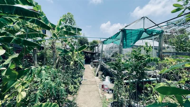 บ้านเดี่ยว 3 ชั้น+ที่ดิน 200 ตร.ว. บ้านเดี่ยว ซอยรามอินทรา47 แยก10 ถนนรามอินทรา, Bangkok, ถนนรามอินทรา, Tha Rang, Bang Khen, Bangkok, 7 Bedrooms, 300 sqm, Single Detached House For Sale, by คุณ พัชรนันท์ พรมพิทักษ์ (นัจข์), 500239676 - DDproperty.com