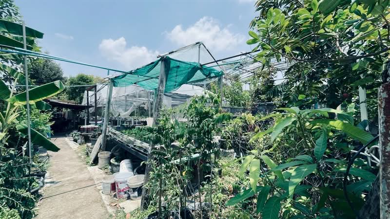 บ้านเดี่ยว 3 ชั้น+ที่ดิน 200 ตร.ว. บ้านเดี่ยว ซอยรามอินทรา47 แยก10 ถนนรามอินทรา, Bangkok, ถนนรามอินทรา, Tha Rang, Bang Khen, Bangkok, 7 Bedrooms, 300 sqm, Single Detached House For Sale, by คุณ พัชรนันท์ พรมพิทักษ์ (นัจข์), 500239676 - DDproperty.com