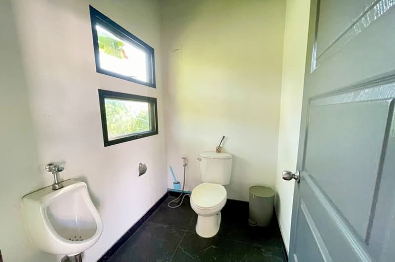 ขายบ้านชั้นเดียว 103 ตรว.ซอยลาดพร้าว 81 แปลงมุม ทำออฟฟิศ คาเฟ่ ร้านอาหาร ใกล้ทางด่วน-รถไฟฟ้า, Bangkok, Khlong Chaokhun Sing, Wang Thonglang, Bangkok, 1 Bedroom, 114 sqm, Single Detached House For Sale, by คุณนารี, 500239773 - DDproperty.com