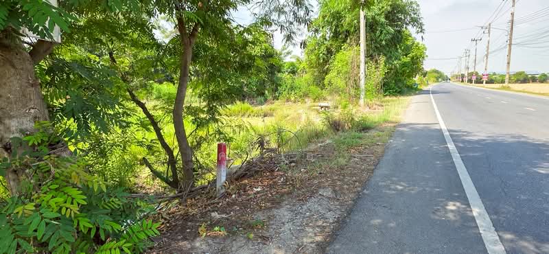 ขาย - ขายที่ดิน, นครปฐม