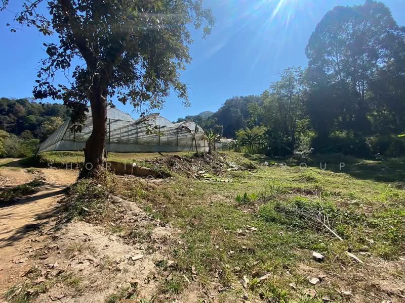 Land in Thep Sadet, Doi Saket, Chiang Mai, Thep Sa Det, Doi Saket, Chiang Mai, , 14,400 sqm, Land For Sale, by Shori Asset Group Co., Ltd., 500239992 - DDproperty.com