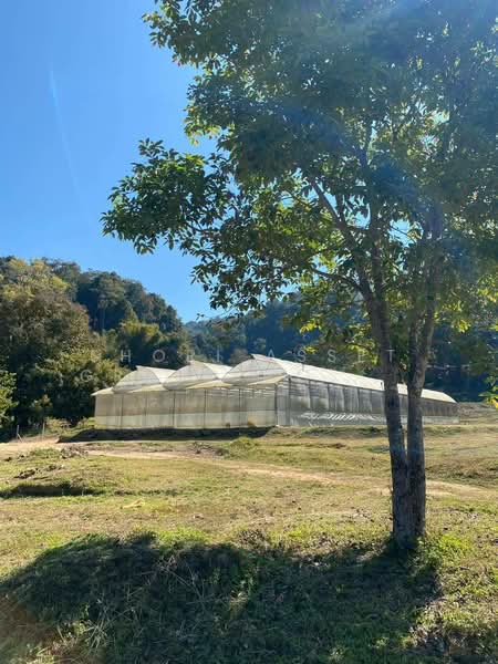 Land in Thep Sadet, Doi Saket, Chiang Mai, Thep Sa Det, Doi Saket, Chiang Mai, , 14,400 sqm, Land For Sale, by Shori Asset Group Co., Ltd., 500239992 - DDproperty.com