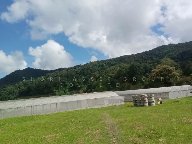 Land in Thep Sadet, Doi Saket, Chiang Mai, Thep Sa Det, Doi Saket, Chiang Mai, , 14,400 sqm, Land For Sale, by Shori Asset Group Co., Ltd., 500239992 - DDproperty.com