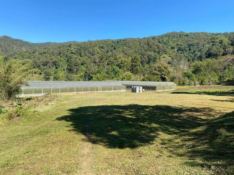 Land in Thep Sadet, Doi Saket, Chiang Mai, Thep Sa Det, Doi Saket, Chiang Mai, , 14,400 sqm, Land For Sale, by Shori Asset Group Co., Ltd., 500239992 - DDproperty.com