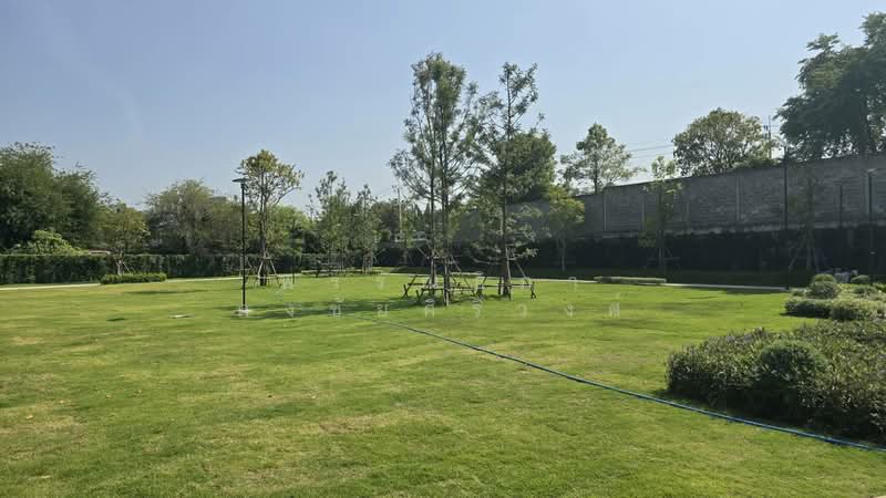 Grand Canal Donmuang, Bangkok, Cherdwutthakat Road, Si Khan, Don Mueang, Bangkok, , 552 sqm, Land For Sale, by พรรณธิภา คงชัยศิริวงศ์, 500240010 - DDproperty.com