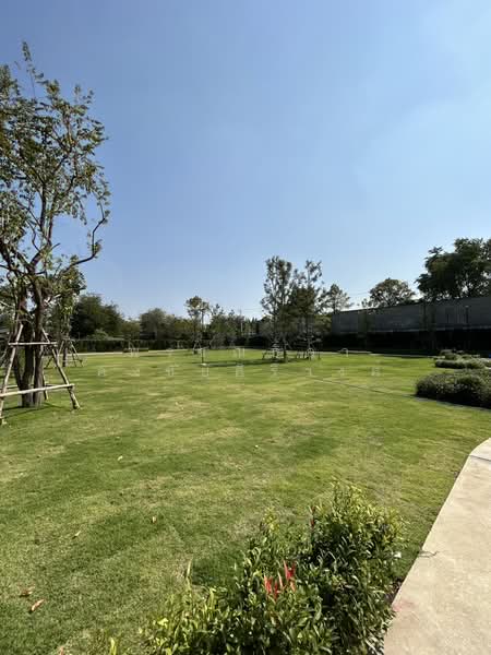 Grand Canal Donmuang, Bangkok, Cherdwutthakat Road, Si Khan, Don Mueang, Bangkok, , 552 sqm, Land For Sale, by พรรณธิภา คงชัยศิริวงศ์, 500240010 - DDproperty.com