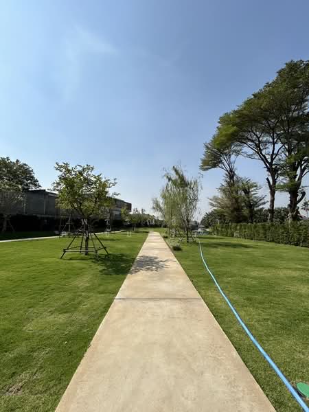 Grand Canal Donmuang, Bangkok, Cherdwutthakat Road, Si Khan, Don Mueang, Bangkok, , 552 sqm, Land For Sale, by พรรณธิภา คงชัยศิริวงศ์, 500240010 - DDproperty.com