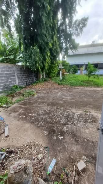 อาคารพาณิชย์สอยดาว จันทบุรี, Chanthaburi, Pa Tong, Soydow, Chanthaburi, , 120 sqm, Shophouse For Sale, by The Best Property หยก, 500240062 - DDproperty.com