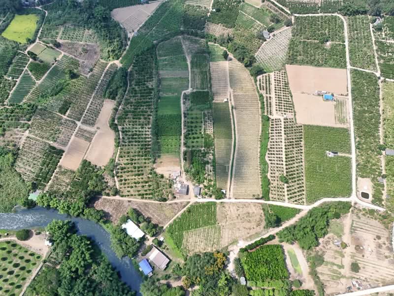 Phetchaburi Riverfront Land, Phetchaburi, 3410, Klat Luang, Tha Yang, Phetchaburi, , 73,964 sqm, Business For Sale, by Apiwat Wattanakul, 500240126 - DDproperty.com