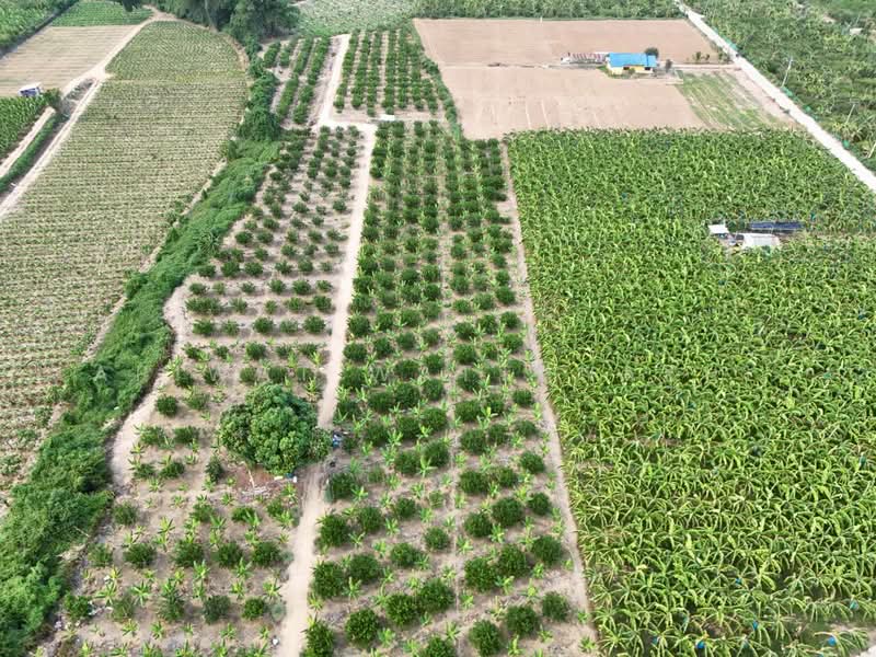 ที่ดินติดแม่น้ำเพชรบุรี, เพชรบุรี, 3410, กลัดหลวง, ท่ายาง, เพชรบุรี, 73,964 ตร.ม., กิจการ ขาย, โดย Apiwat Wattanakul, 500240126 - DDproperty.com