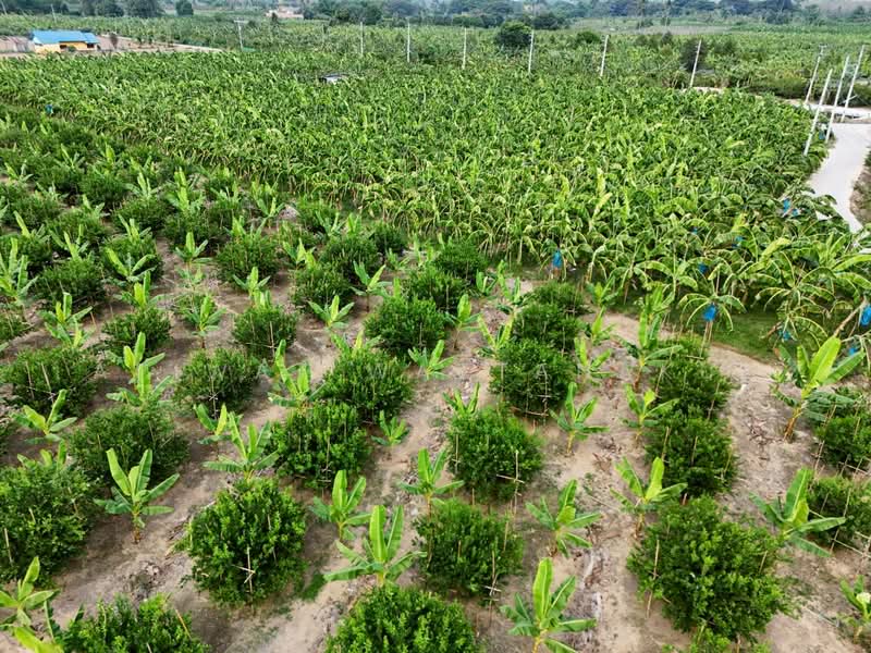 ที่ดินติดแม่น้ำเพชรบุรี, เพชรบุรี, 3410, กลัดหลวง, ท่ายาง, เพชรบุรี, 73,964 ตร.ม., กิจการ ขาย, โดย Apiwat Wattanakul, 500240126 - DDproperty.com