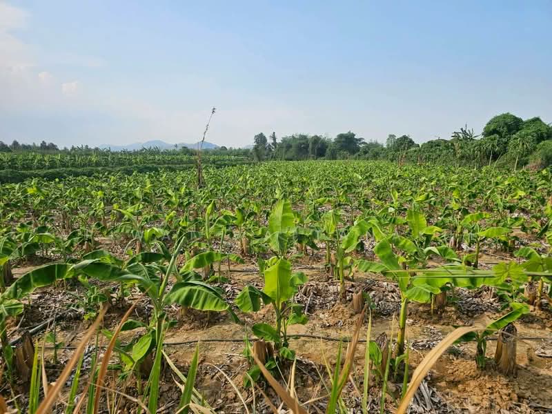 Phetchaburi Riverfront Land, Phetchaburi, 3410, Klat Luang, Tha Yang, Phetchaburi, , 73,964 sqm, Business For Sale, by Apiwat Wattanakul, 500240126 - DDproperty.com