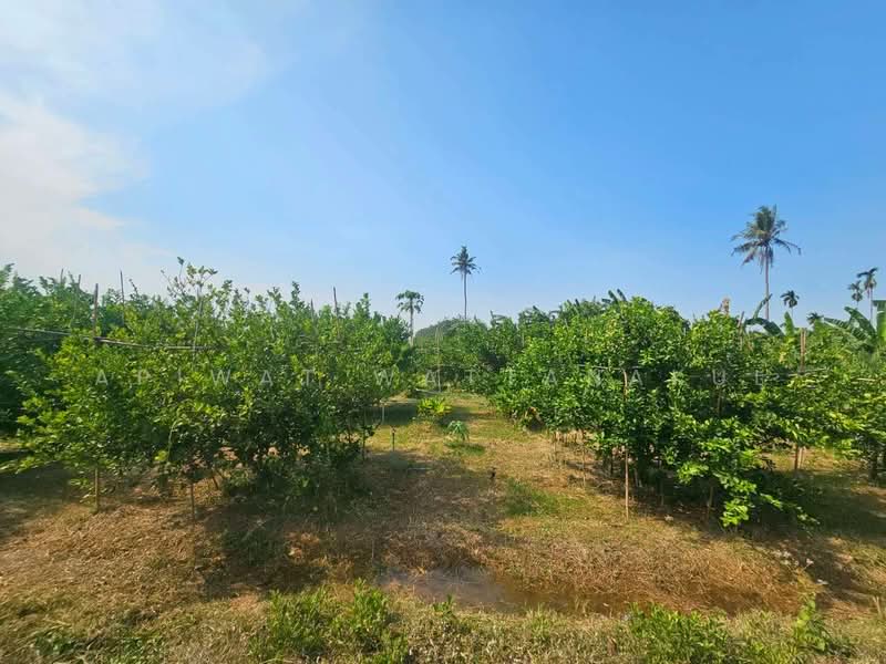 ที่ดินติดแม่น้ำเพชรบุรี, เพชรบุรี, 3410, กลัดหลวง, ท่ายาง, เพชรบุรี, 73,964 ตร.ม., กิจการ ขาย, โดย Apiwat Wattanakul, 500240126 - DDproperty.com