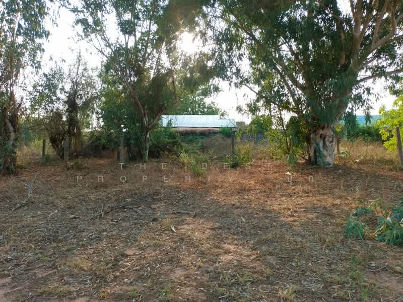 ที่ดินบ้านไผ่ ขอนแก่น, ขอนแก่น, ในเมือง, บ้านไผ่, ขอนแก่น, 240 ตร.ม., ที่ดิน ขาย, โดย The Best Property  ปุ๊ก, 500240128 - DDproperty.com